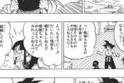 息子(10)「僕も人造人間と戦う！」　ワイ「よし、じゃあ修行を…」　嫁「はああああああぁぁ！？」