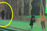 【動画】動物ショーのスタッフが熊に襲われてしまうアクシデント。