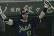 ヤクルトが巨人にシーズン負け越し　村上4試合不発…3打数無安打で今季56号はまたお預け