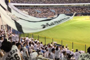 プロ野球の応援団の人ってあれ普段は何してる人なの？