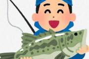 魚採取動画を見たキッズ「外来種最低！」　ワイ「いやそれは違うだろ」
