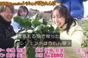 【日向坂46】またまた野菜回！金村美玖＆髙橋未来虹が青空レストランの予告に登場！