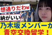 乃木坂メンバーが青空交換留学！? 【乃木坂46・岩本蓮加・乃木坂工事中・乃木坂配信中】#乃木坂工事中 #乃木坂46  #乃木坂配信中　#乃木坂4期生　#遠藤さくら