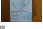 【悲報】マスク、12000円で売れてしまう