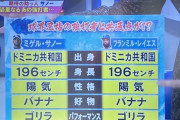 【朗報】中日ドラゴンズの新外国人、ゴリラだった