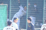 阪神・藤浪に冬休みの宿題　矢野監督が投球フォームの癖を指摘