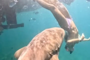 【動画】ビキニの女性がサメに噛まれてしまう瞬間の水中映像が公開される。