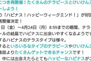 【ポケモンSV】テラレイド、マルチに地雷多すぎ問題。「ハピナスに特殊アタッカーで参戦」「タイプ見ない」「タイプだけ見て元のポケモンを見ない」どうしてこうなった