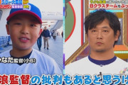 中日ドラゴンズ、小6にロジハラされる