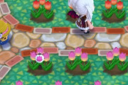 【ポケ森】9匹しか湧かなくて金1匹しか捕獲できないのしんどい【どうぶつの森 まとめ】