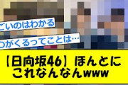 【日向坂46】【5chまとめ】#日向坂46#ひなこい#日向坂で会いましょう#おひさま