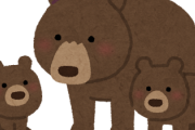 【画像】クマさん「ねぇ人間さん、ぼくは『害獣』なの？」