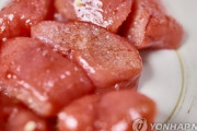 韓国紙「少し塩辛い味に、はじける食感 "釜山明太子" の変身」