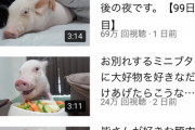 【youtuber】100日後に食われるブタ、ガチで食われるwwwwwwwwwwwwwwwwwwwwwwwwww