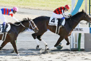 新馬圧勝ジュタロウとはなんだったのか・・・