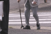 【悲報】赤信号無視で女の子が連れていた犬をひき逃げした91歳男性「覚えてない」「車は最新の自動プレーキ付き、犬は低いから止まらなかったのでは？」