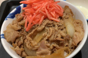【画像】マナー講師「牛丼にかけていい紅生姜の量はひとつまみデース」←これ