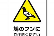 【悲報】高速道路標識「ここは鳥注意です！」←言うほど俺たちなんかできるか？?？