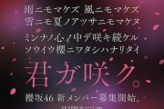 櫻坂46・日向坂46、新メンバーオーディションを同時開催　両グループ併願可能