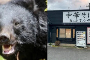 【青森・はぐれ子グマがラーメン店襲撃】「笑えないです」ボコボコにしてクマを返り討ち　レジェンド男性はまぶたが腫れあがり骨折