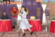【日向坂46】小坂菜緒ちゃん、ぐるナイSP(ゴチ22)でとんでもない結果を残す！！！！！！！