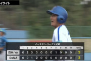 【DeNAファーム】平良5回1自責点、大貫4回0自責点　知野のエラーなど3失策で延長11回引き分けに