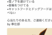 【俺ガイル】比企谷八幡「迷子になったイーブイを預かることになった」