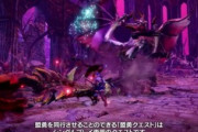 【MHRise】容量のほとんどが盟勇関連というオチが本当にありそうで怖いわ