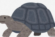 動物愛護法では「一度買ったら死ぬまで面倒見る。」『終生飼育』が義務付けられたけど、160年以上も生きるゾウガメだったらどうなるの？