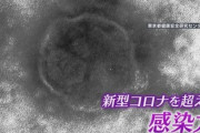 【緊急】コロナ以上にヤバい感染症、日本上陸