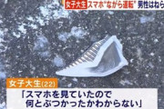 女子大生「スマホみてたので何とぶつかったかわからない」 男性を20ｍはね、そのまま走り去る。放置された男性窒息死