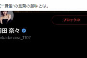 【AKB48】岡田奈々 「どんな意見でも受け止めます」→ブロックしまくるｗｗｗ