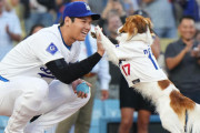 【MLB】大谷の愛犬「デコピン」が三塁に？ドジャース専属カメラマンが大谷翔平の足元ショット投稿