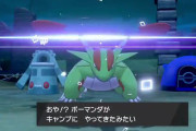 ポケモン剣盾でヤバいバグが発見される　手持ちポケが増殖＋カレーの証が付いてしまうだと･･･！