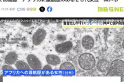 【国内初】アフリカ渡航歴のある20代女性がエムポックスウイルス（サル痘）重症型に感染