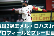 【朗報】47本塁打のロハスJr「阪神は東京よりも人に優しいチームだと聞いている」