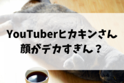【悲報】YouTuberヒカキンさん、顔がデカすぎる