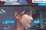 【悲報】北川莉央アナ、WBS初出演の取材でサラリーマン視聴者に顔の肌荒れを晒してしまう…