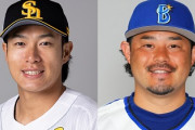 【NPB】セは宮﨑、パは柳田というおっさんが無双してる件