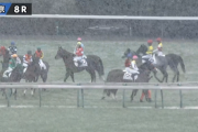 明日も中止で月曜代替競馬あるか？