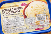 【画像】「トップバリュのアイス」ガチで若者の間で流行り始めるwwwww