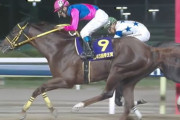 【競馬予想】[1]第68回東京大賞典/大井(GI)/2022
