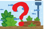 【画像】水槽に変な虫いたんだがこれ何？？？？