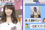 【乃木坂46】今見ると・・・テレ朝アナウンサーが秋元真夏に放った『毒舌』がこちらwwwwww