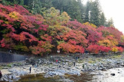 愛知県の香嵐渓というところに紅葉を見に行った