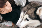 【元乃木坂46】まいまいインスタの犬がちょっと怖いw