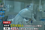【新型肺炎】武漢での感染者、本当は39倍？「武漢から帰国した邦人の感染者割合が多すぎる」と中国で驚きの声★2