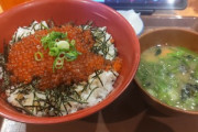 すき家でメガイクラ丼