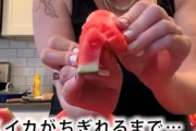【動画】ゴムみたいな食感のスイカが話題に・・・