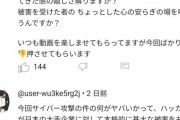 【悲報】大手アニメ系YouTuber、ニコニコ(仮)を悪ノリと言い炎上してしまうｗｗｗｗｗ